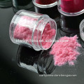 The latest Fashion Nail Art nylon flock powder